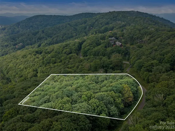 360 Birch Springs Ln, Mars Hill, NC 28754