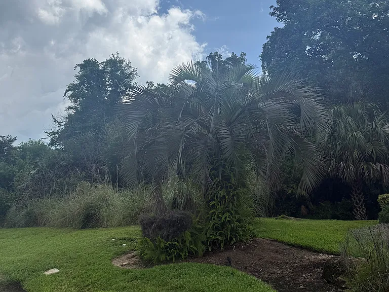 Vacant lot next door offers privacy