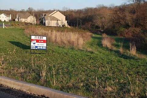 Lot 24 Blackwood
