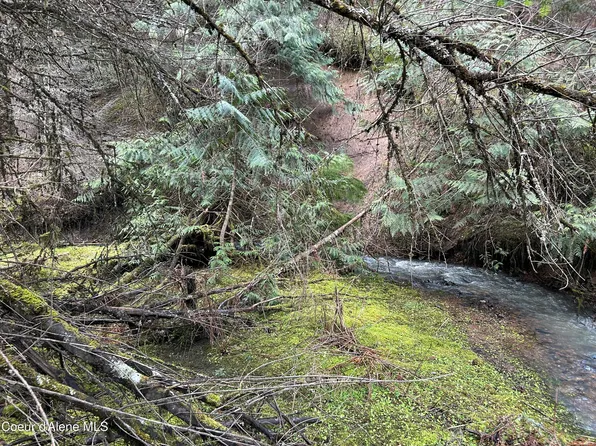 Nna E Bell Canyon Rd, Harrison, ID 83833