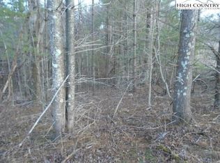 Tbd Perry Rd, West Jefferson, NC 28694