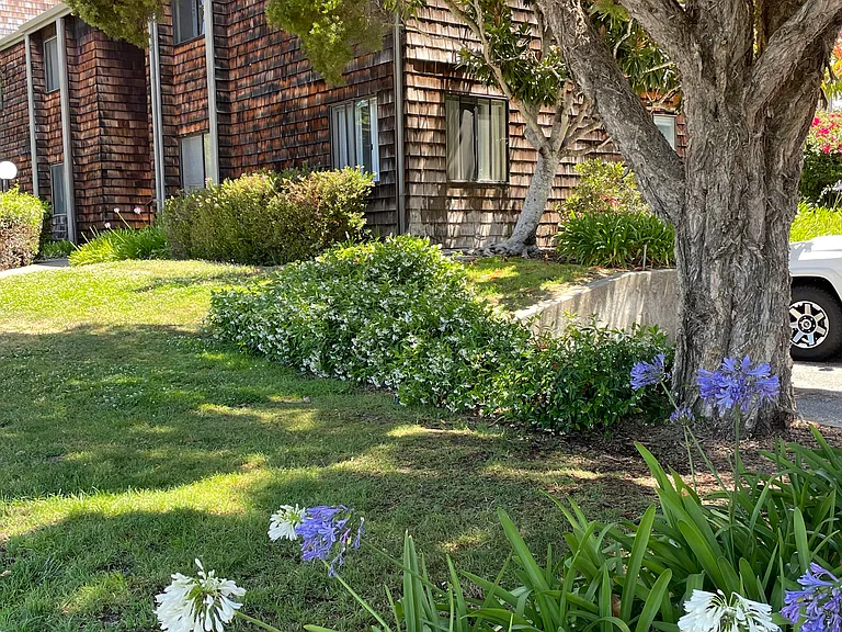 Capitola Terrace Apartments — Photo 5