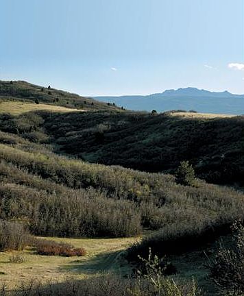 4th image of 97 Stone Pointe Trl