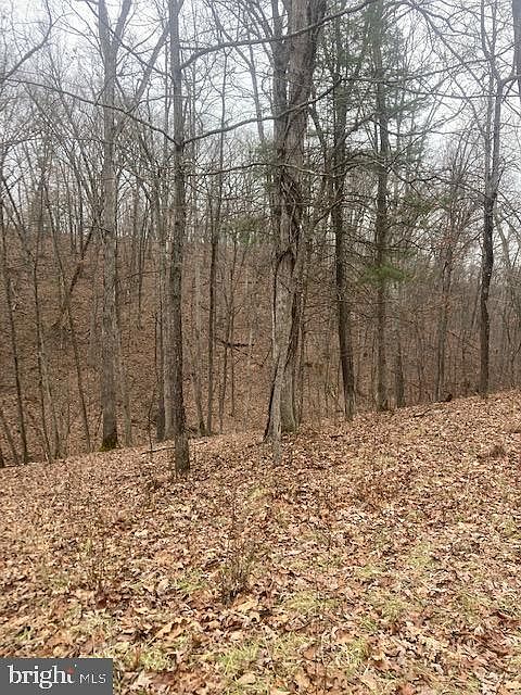 2nd image of 14 Little Creek Trl