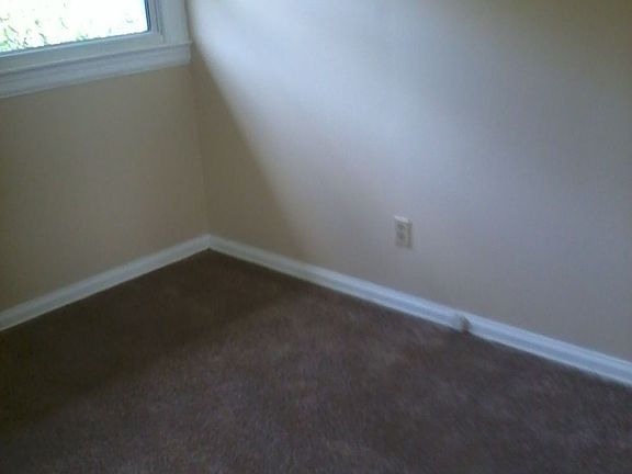 5th image of 1017 Park St
