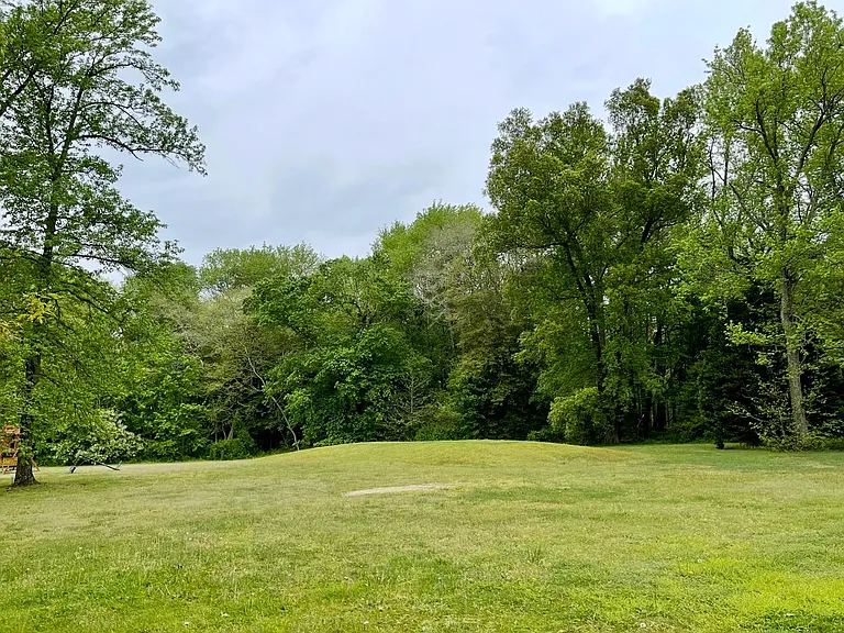 9945 Oak Terrace Rd — Photo 10