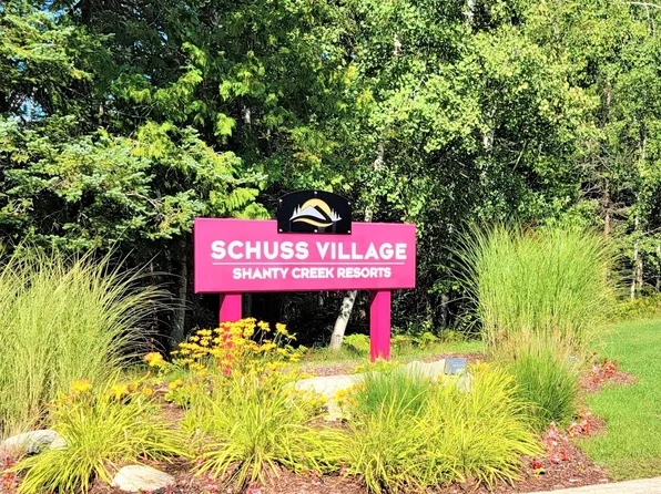 6520 Schuss Mountain Ln #219, Mancelona, MI 49659