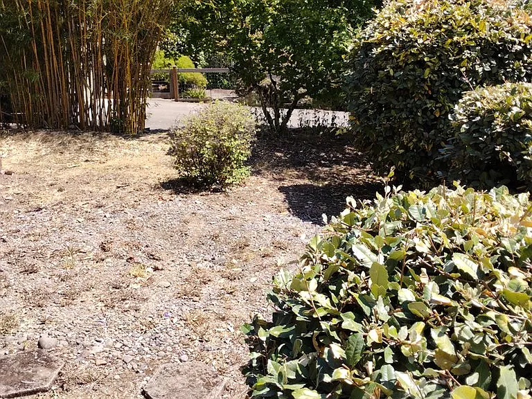 2911ce — Photo 3
