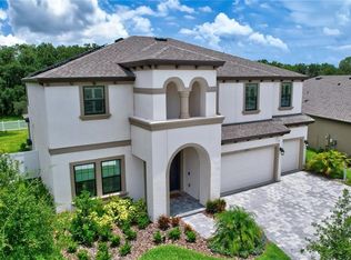 13223 Twin Bridges Dr, Riverview, FL 33579