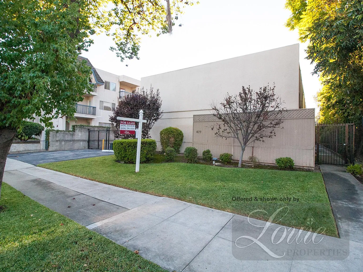 1 bed, 600 sqft, $2,000 — Photo 1