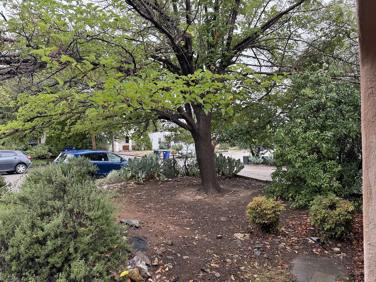 2717 McEarl Ave SE — Photo 3
