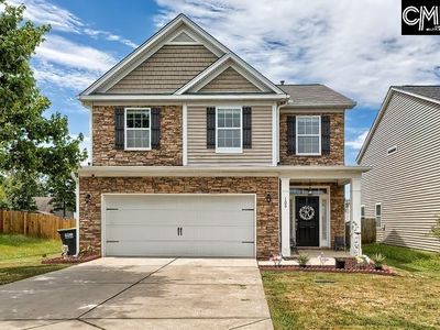 108 Pennsylvania Ct, Chapin, SC, 29036