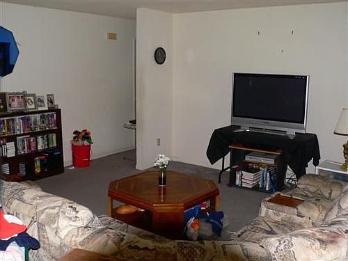 Large Living Room