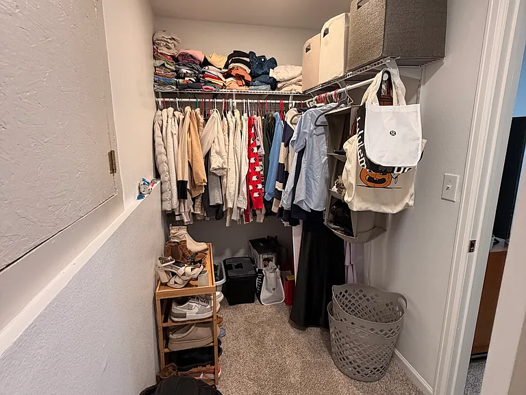 bedroom in basement closet and storage space