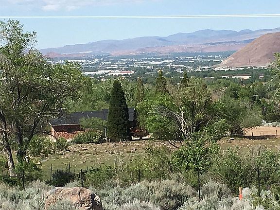 Daytime view from backyard 