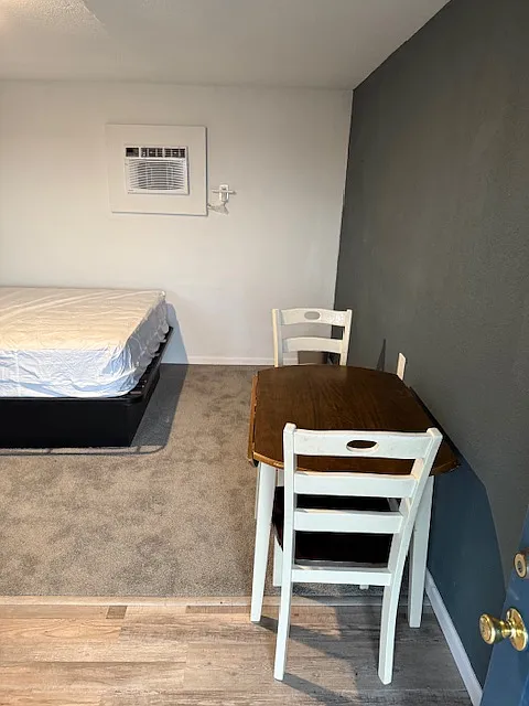 1 bed, 400 sqft, $600 — Photo 3