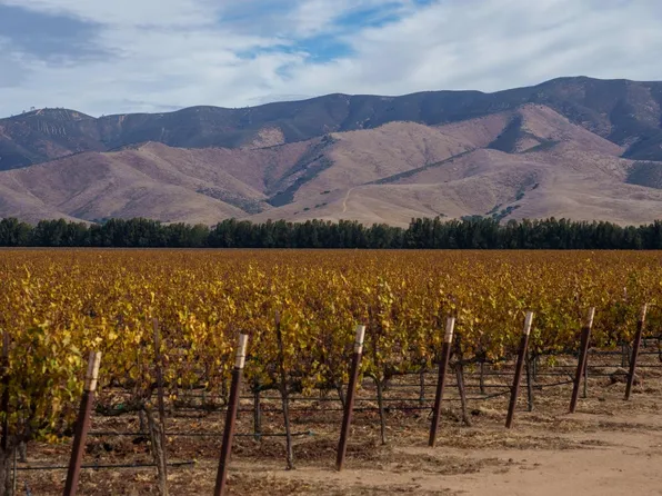 Camphora Gloria Rd, Soledad, CA 93960