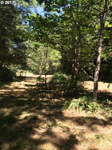 Beaver Falls Rd, Clatskanie, OR, 97016