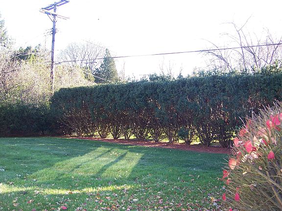 Private Fenced Yard