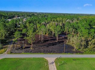 5125 Moore St, Saint Cloud, FL 34771