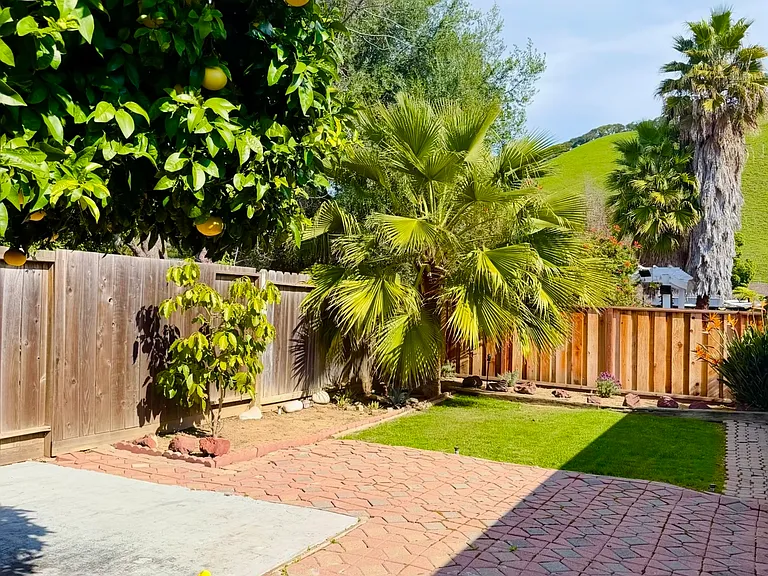 625 Orangewood Dr — Photo 3