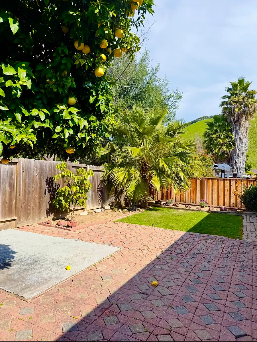 Building Photo - 625 Orangewood Dr