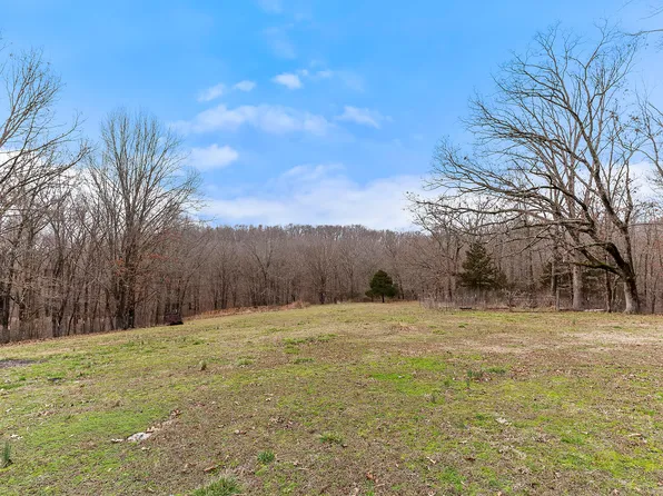 117 Chelsea Lane, Clever, MO 65631