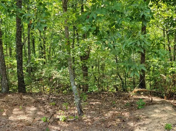 6 Chinkapin Rd, Holladay, TN 38341