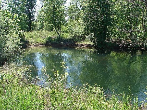 100 Browntown Rd. Pond