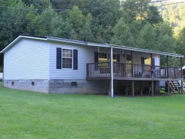 290 Barnett Run Rd, Birch River, WV 26610
