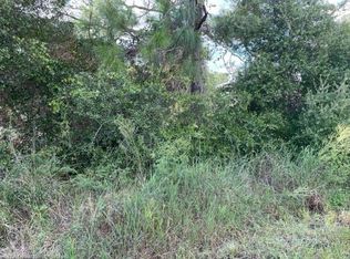 574 Cook St, Lake Placid, FL 33852