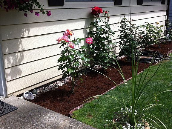 2nd image of 20420 110th Ave SE