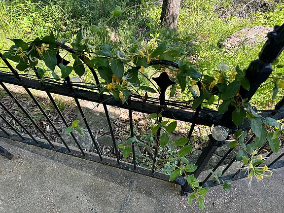 5th image of 113 Woodcliff Road