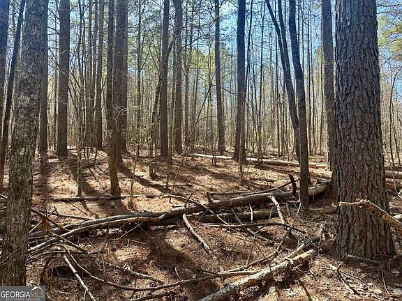 5th image of 555 Larmon Forks Rd