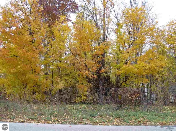LOT 84 Eden St, Kingsley, MI 49649