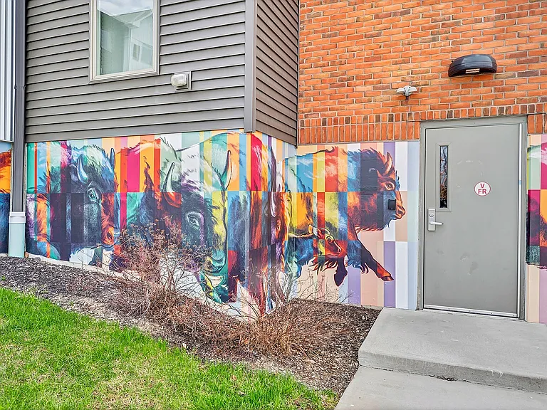 Buffalo Mural