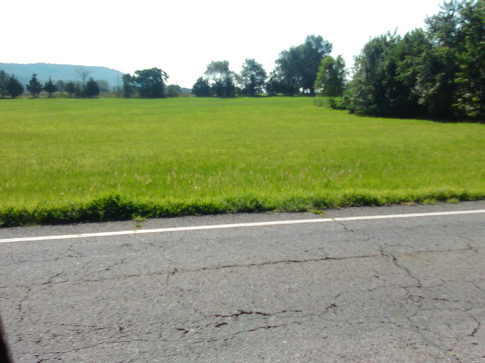 1st image of 3401 Hwy 21