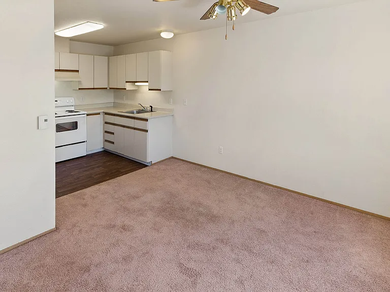 Webster Court Senior Apartments — Photo 18