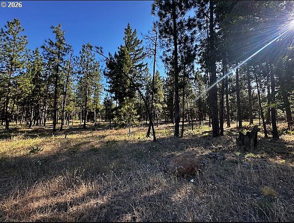1st image of 2 Carol Ln