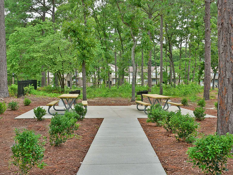 BBQ/Picnic Area