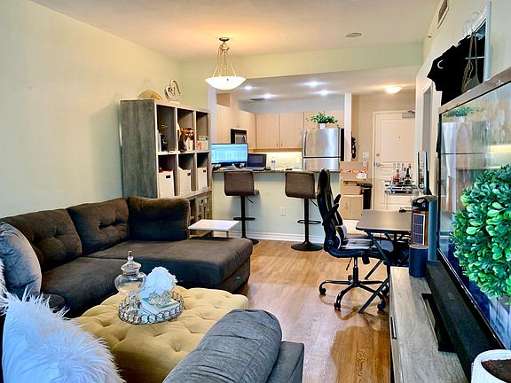 Living room and kitchen