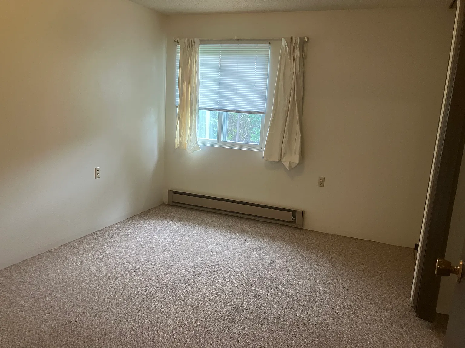 1 bed, $717 — Photo 3