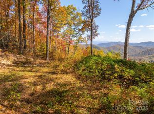 9999 Conleys Pl, Whittier, NC 28789