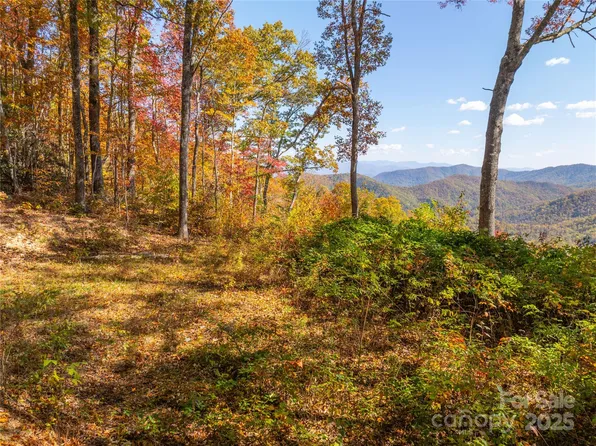 9999 Conleys Pl, Whittier, NC 28789