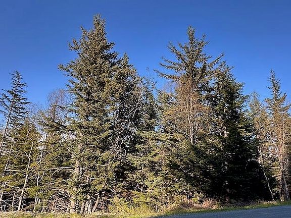 5th image of 8 Skyline Dr