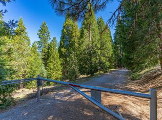 20561 Wandering Hills Rd, Pioneer, CA 95666