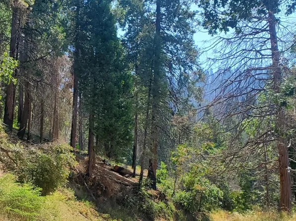 Balch Park Rd, Springville, CA 93265