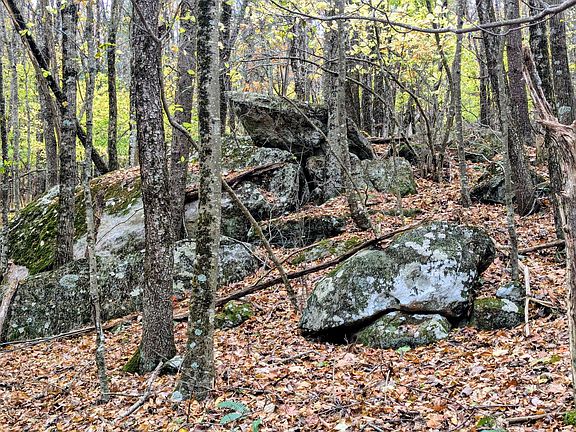 39th image of this home