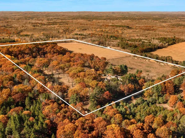 7070 Devils Ln, Kaleva, MI 49645