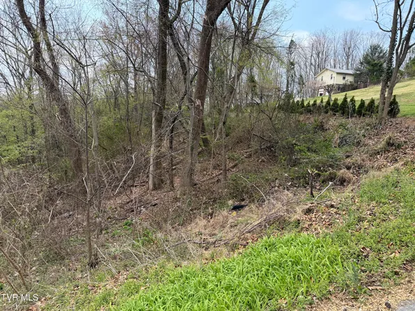 410 Crystal View St, Kingsport, TN 37660